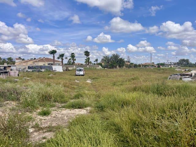 Terreno en venta en el Baix Segura / La Vega Baja, Valencia