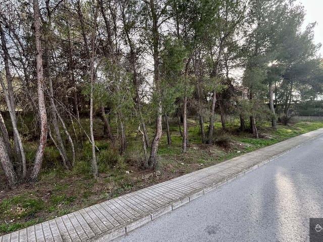 Terreno en venta en l'Alt Vinalopó / El Alto Vinalopó, Valencia