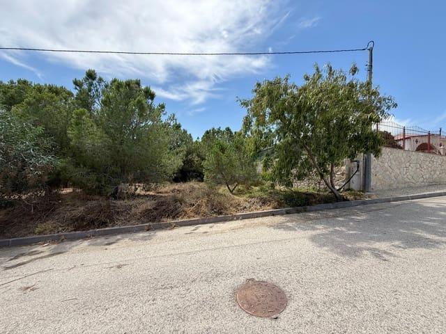 Terreno en venta en Cañadas de San Pedro, Área Metropolitana de Murcia