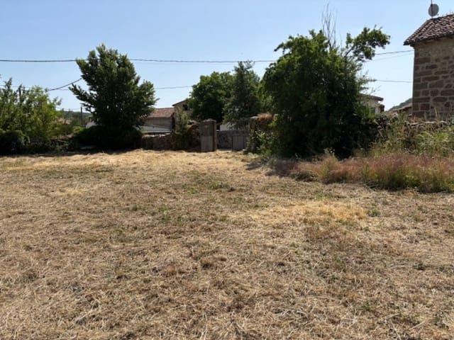 Terreno en venta en Cervera De Pisuerga, Castilla y León