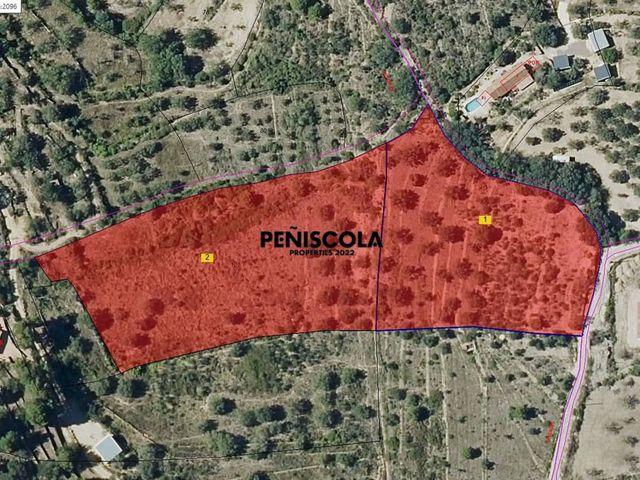 Terreno en venta en el Baix Maestrat, Valencia