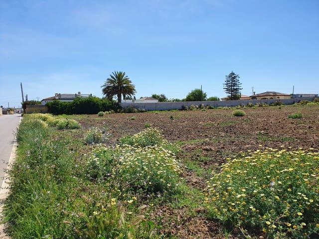 Terreno en venta en Chiclana De La Frontera