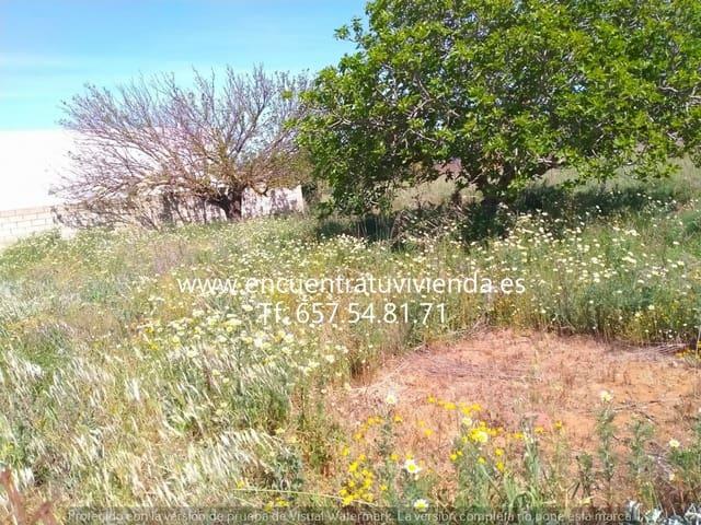 Terreno en venta en Chiclana De La Frontera