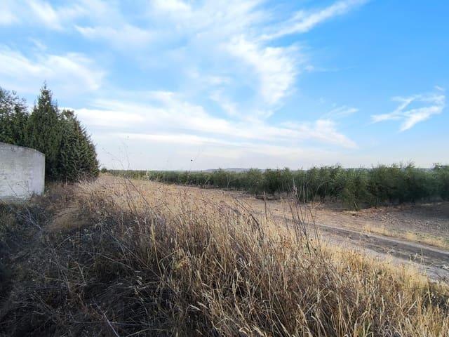 Terreno en venta en Colmenar De Oreja, Madrid
