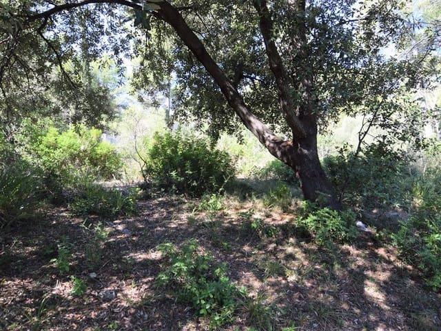 Terreno en venta en Colònia de Sant Pere, Llevant