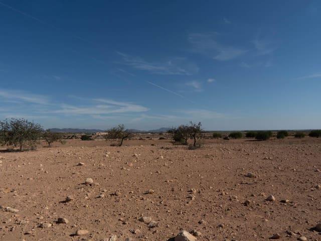 Terreno en venta en Corvera, Campo de Cartagena y Mar Menor