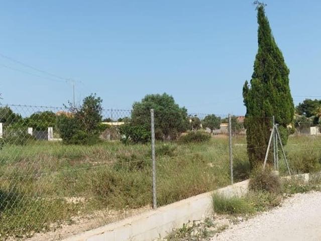 Terreno en venta en el Baix Vinalopó, Valencia