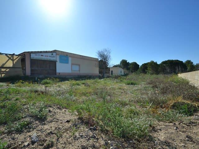 Terreno en venta en Baix Ebre, Catalunya