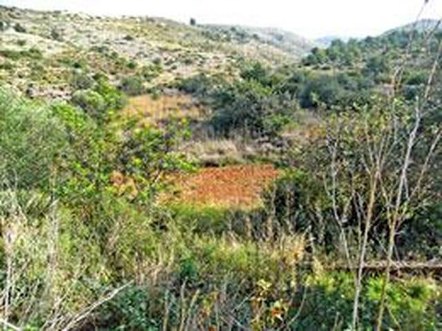 Terreno en venta en Barri Port / Centro, la Marina Alta