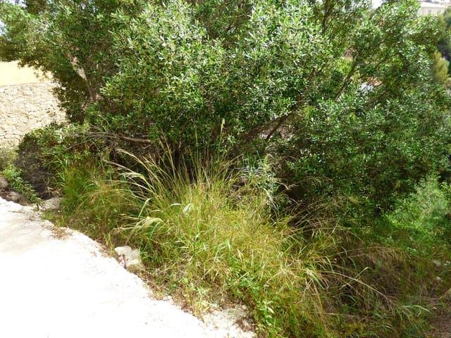 Terreno en venta en Barri Port / Centre, Dénia