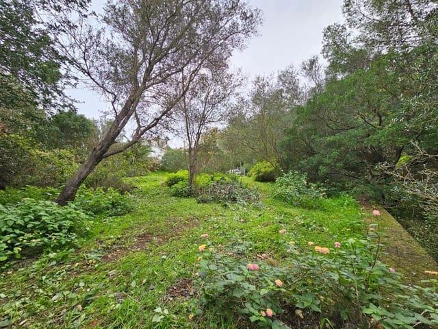 Terreno en venta en Barri Port / Centre, Dénia