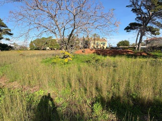 Terreno en venta en Barri Port / Centro, la Marina Alta