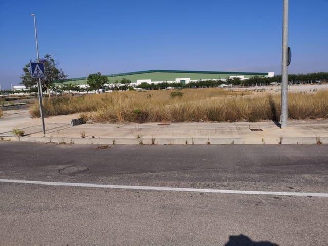 Terreno en venta en el Baix Segura / La Vega Baja, Valencia