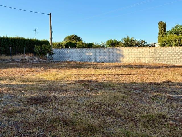Terreno en venta en El Palmar, La Janda