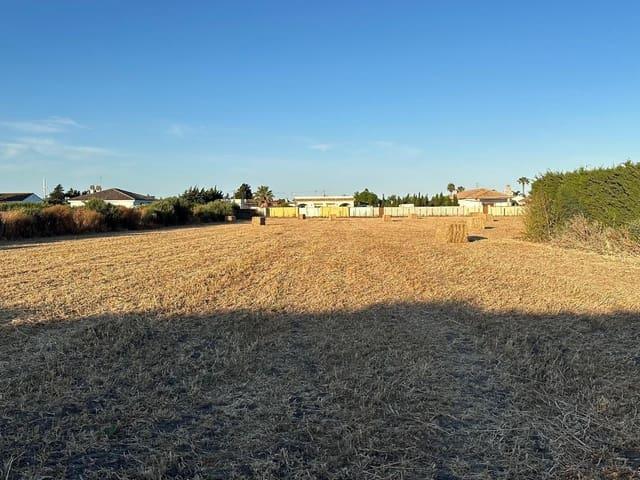 Terreno en venta en El Palmar, La Janda