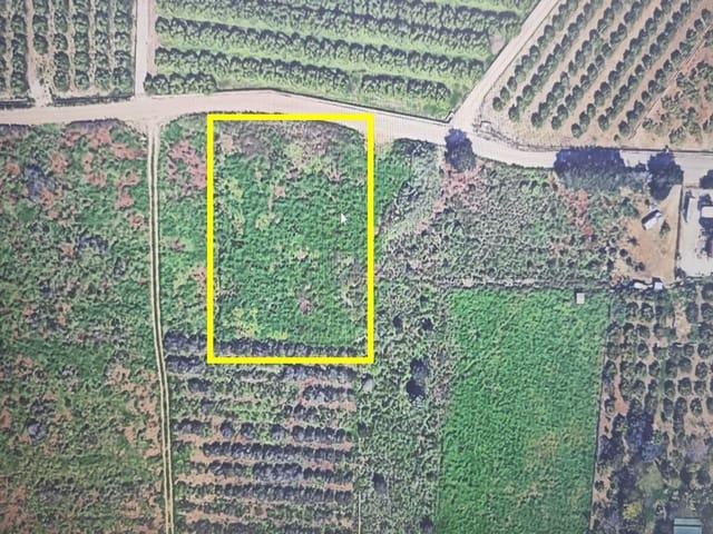 Terreno en venta en la Marina Alta, Valencia