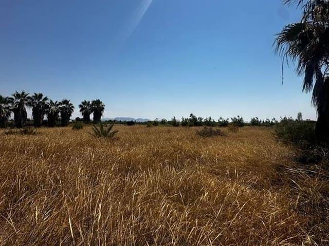 Terreno en venta en el Raval de Santa Teresa, el Baix Vinalopó