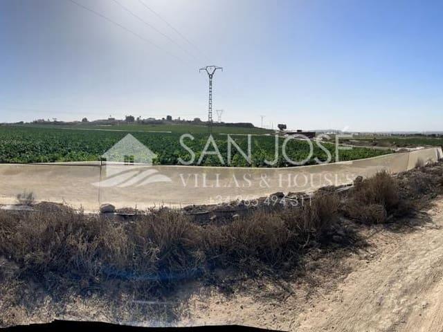 Terreno en venta en el Raval de Santa Teresa, el Baix Vinalopó