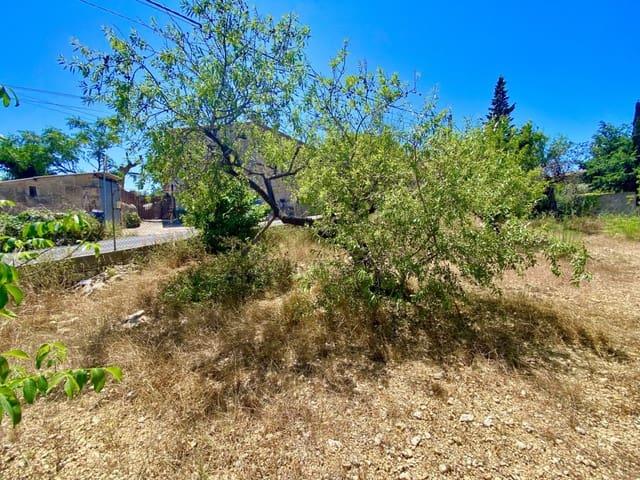 Terreno en venta en Calvià, Serra de Tramuntana