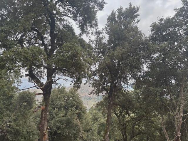 Terreno en venta en Serra de Tramuntana, Baleares