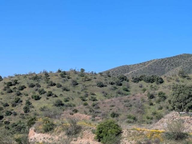 Terreno en venta en Estación de Cártama, Valle del Guadalhorce