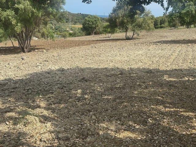 Terreno en venta en Barriada Islas Canarias, Costa del Sol Occidental