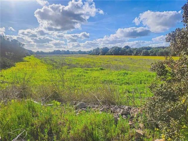 Terreno en venta en Migjorn, Baleares