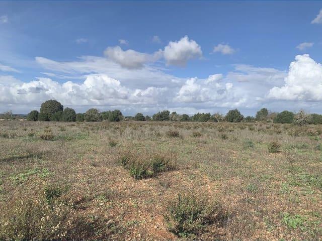 Terreno en venta en Migjorn, Baleares
