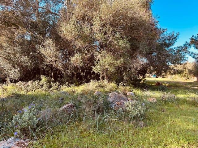 Terreno en venta en Migjorn, Baleares