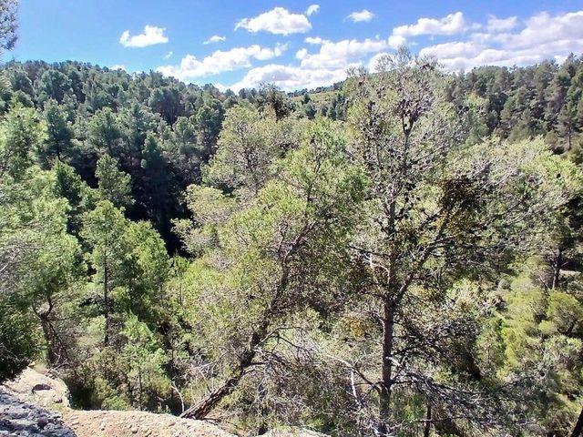 Terreno en venta en Fórnoles / Fórnols, Matarraña / Matarranya