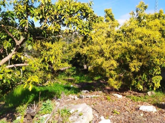 Terreno en venta en Frigiliana