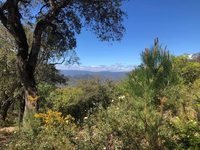 Terreno en venta en Gaucín Pueblo, Gaucín