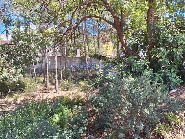 Terreno en venta en La Paz, el Camp de Morvedre