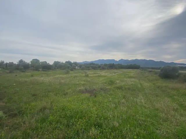 Terreno en venta en Ribera d'Ebre, Catalunya