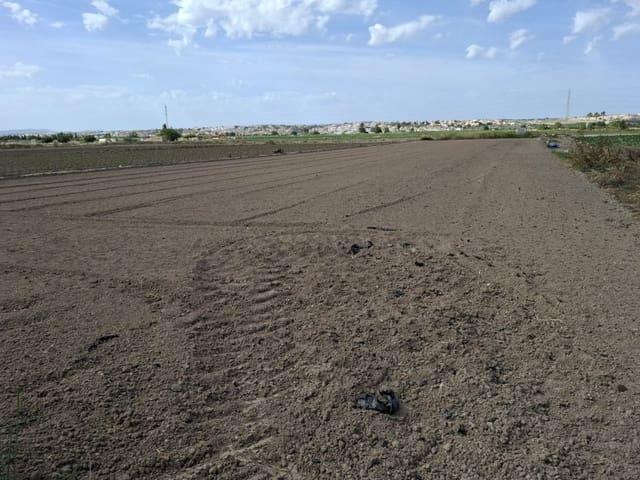 Terreno en venta en Guardamar Del Segura