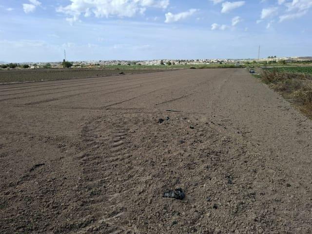 Terreno en venta en el Baix Segura / La Vega Baja, Valencia