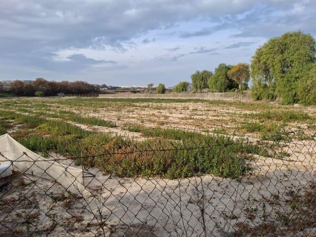 Terreno en venta en Guardamar Del Segura