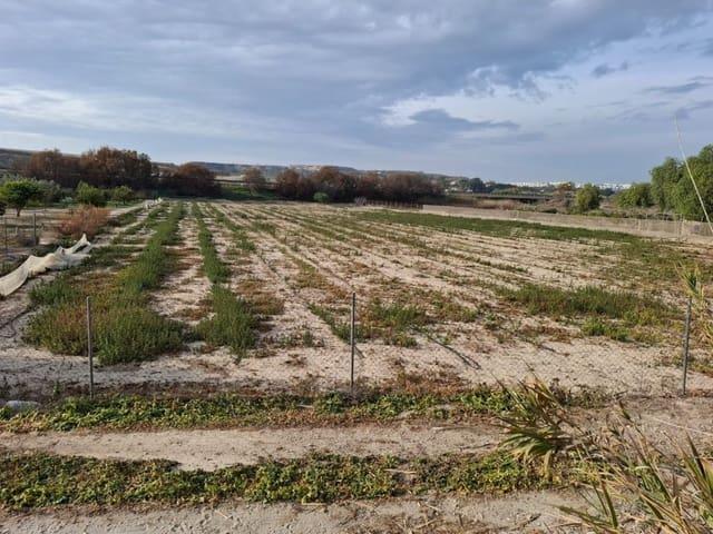 Terreno en venta en el Baix Segura / La Vega Baja, Valencia