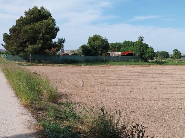 Terreno en venta en el Baix Segura / La Vega Baja, Valencia
