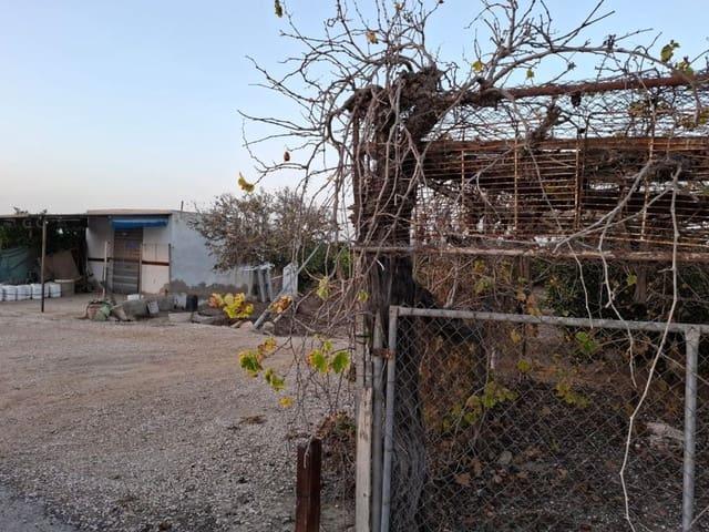 Terreno en venta en el Baix Segura / La Vega Baja, Valencia