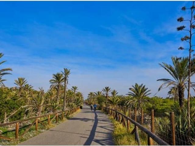 Terreno en venta en el Baix Segura / La Vega Baja, Valencia