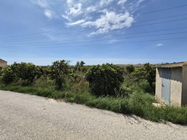 Terreno en venta en el Baix Segura / La Vega Baja, Valencia