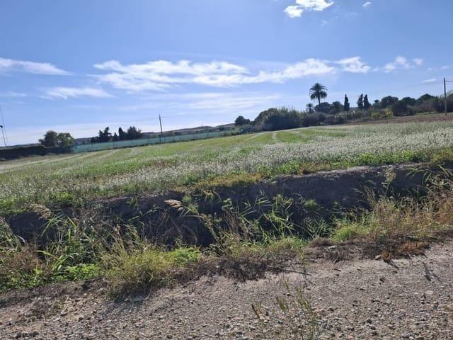 Terreno en venta en el Baix Segura / La Vega Baja, Valencia