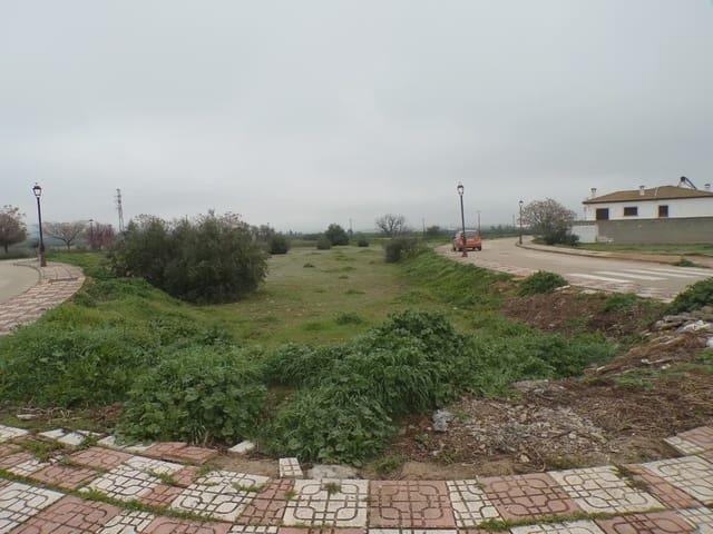 Terreno en venta en Comarca de Loja, Andalucía