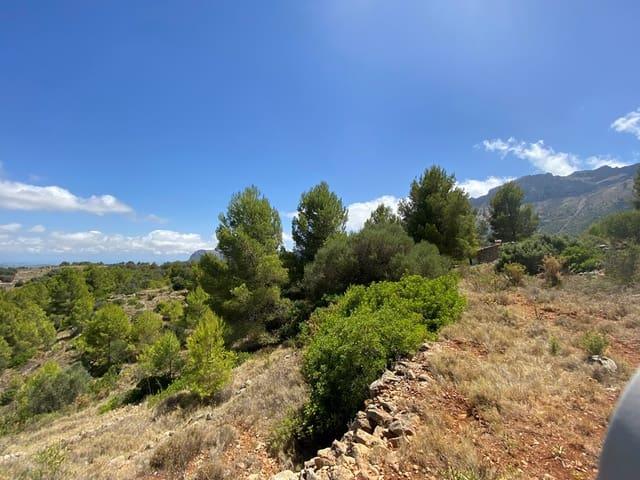 Terreno en venta en la Marina Alta, Valencia