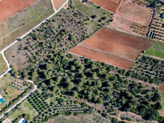 Terreno en venta en la Marina Alta, Valencia