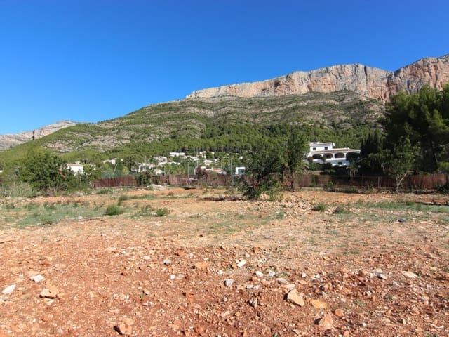 Terreno en venta en la Marina Alta, Valencia