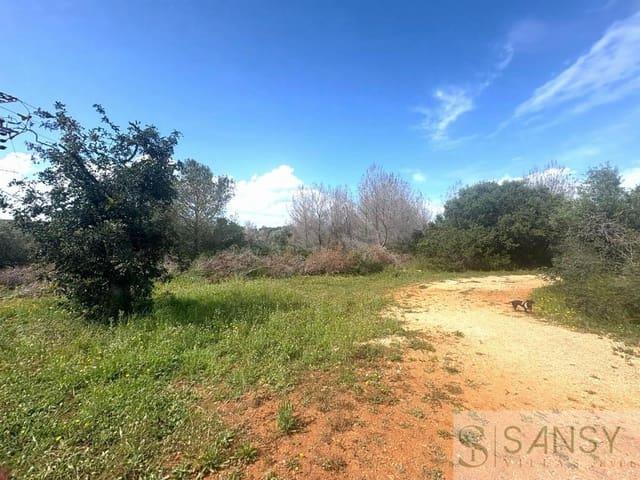Terreno en venta en la Marina Alta, Valencia