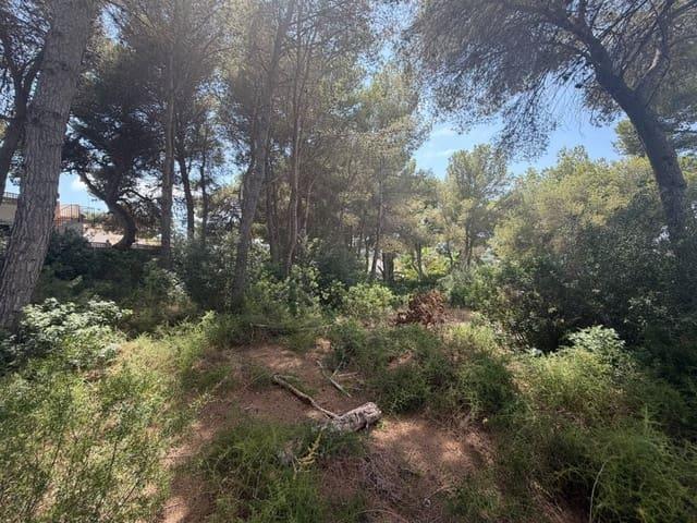 Terreno en venta en la Marina Alta, Valencia