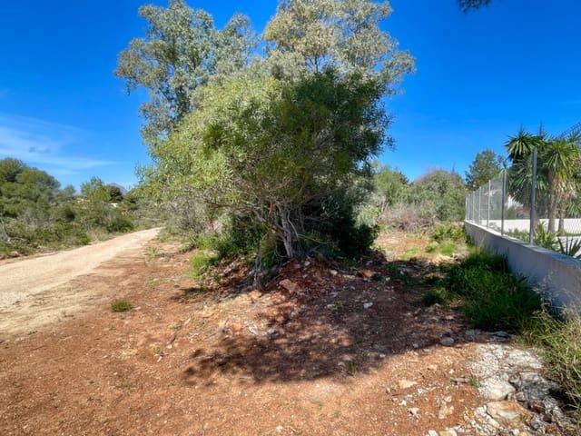 Terreno en venta en la Marina Alta, Valencia